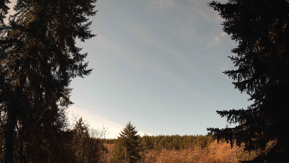 Pacific Northwest skyline timelapse on Feb 26, 2026 at 10:45 AM