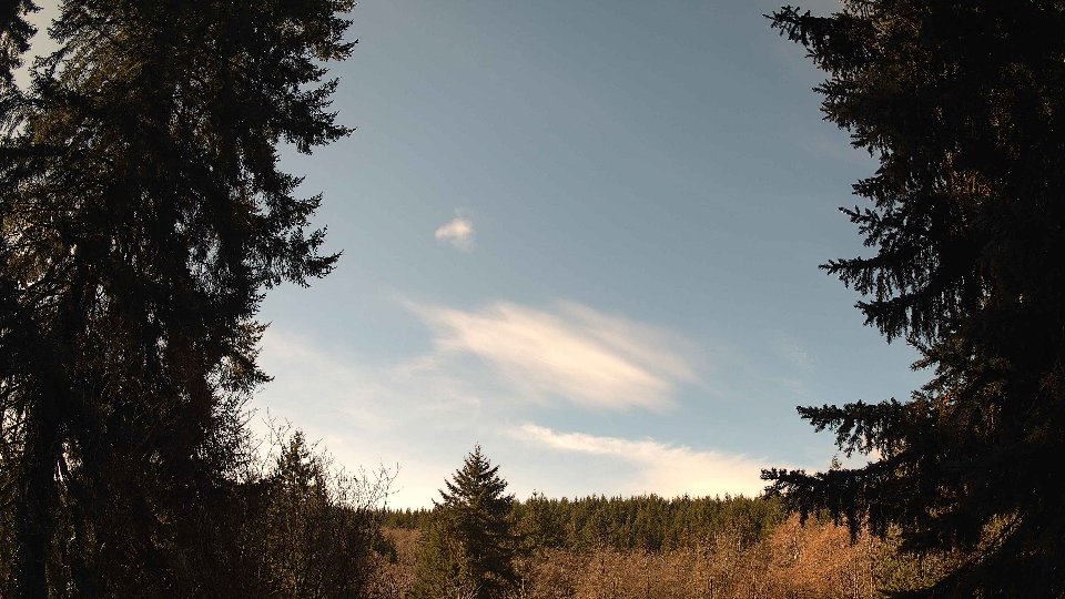 Pacific Northwest skyline timelapse on Feb 26, 2026 at 11:00 AM