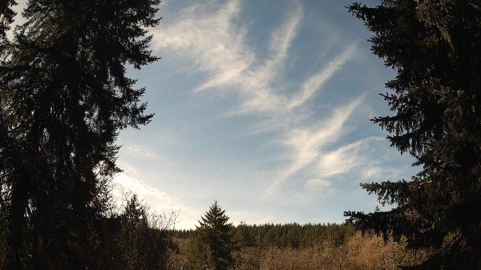 Pacific Northwest skyline timelapse on Feb 26, 2026 at 11:15 AM