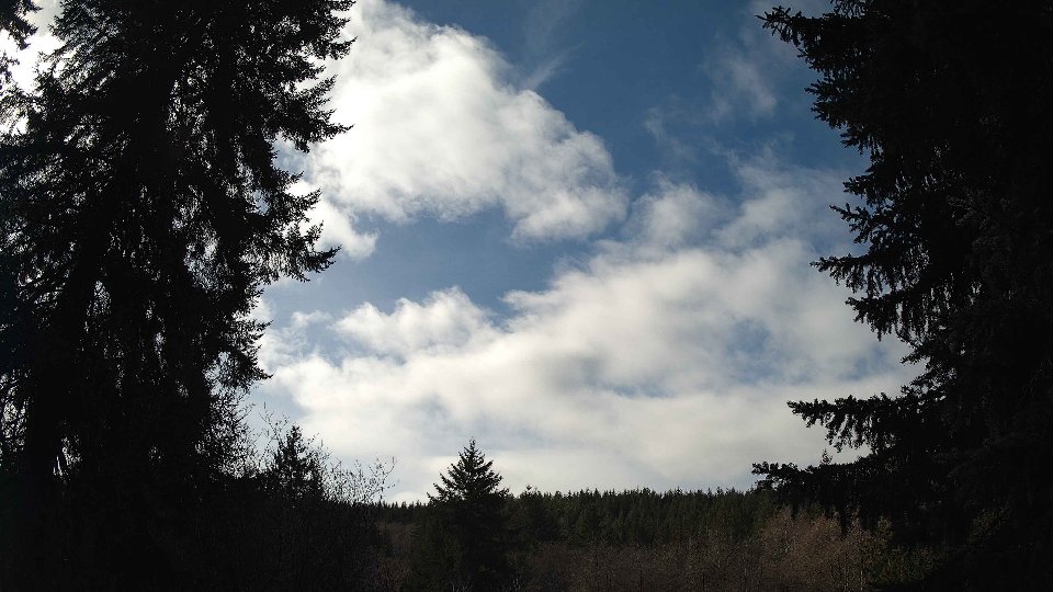 Pacific Northwest skyline timelapse on Feb 26, 2026 at 11:30 AM