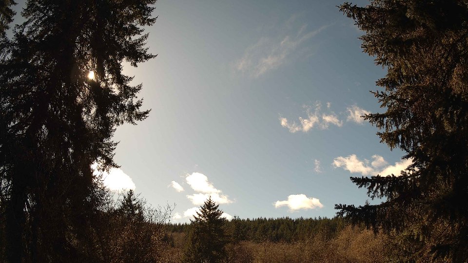 Pacific Northwest skyline timelapse on Feb 26, 2026 at 1:15 PM