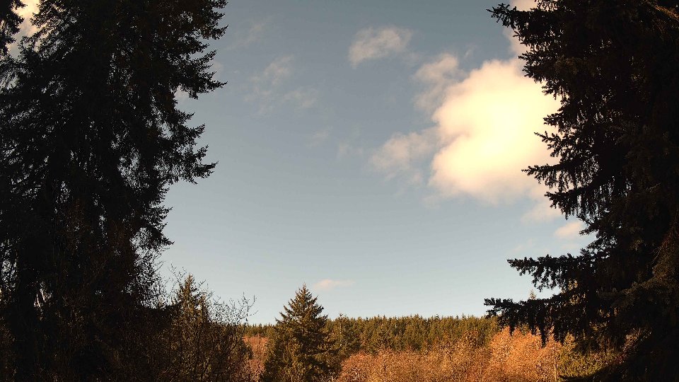 Pacific Northwest skyline timelapse on Feb 27, 2026 at 9:15 AM