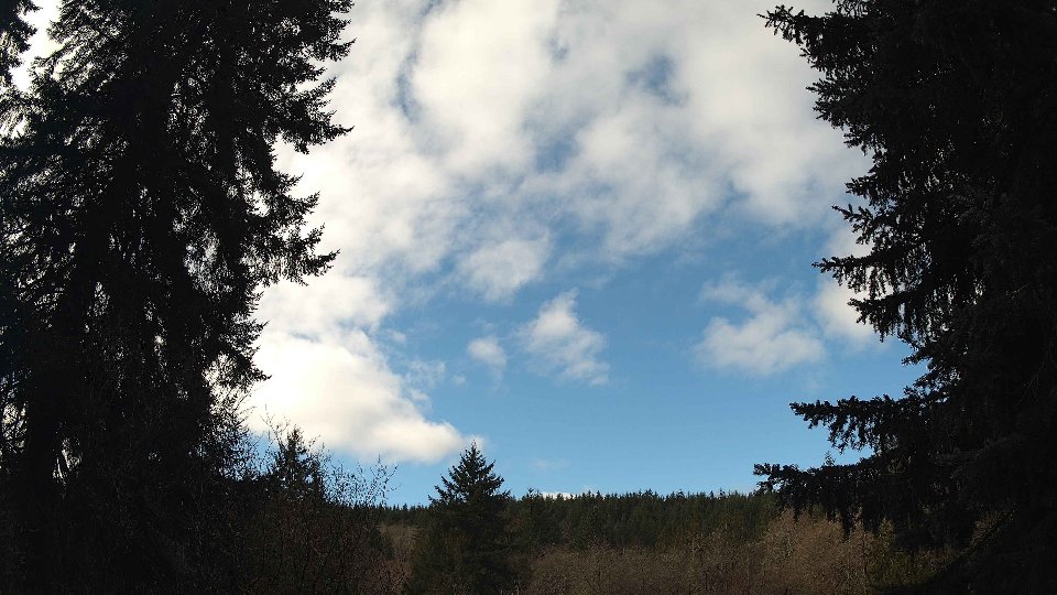Pacific Northwest skyline timelapse on Feb 27, 2026 at 10:00 AM