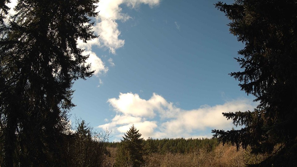 Pacific Northwest skyline timelapse on Feb 27, 2026 at 11:00 AM