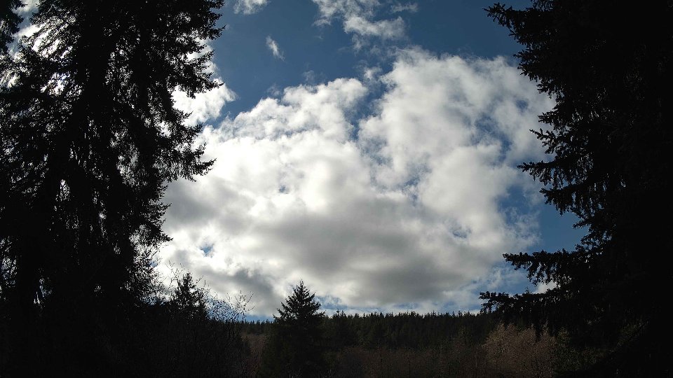 Pacific Northwest skyline timelapse on Feb 27, 2026 at 12:30 PM