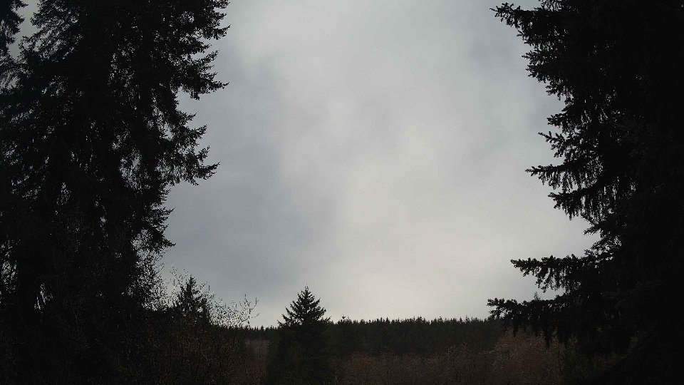 Pacific Northwest skyline timelapse on Feb 28, 2026 at 9:30 AM