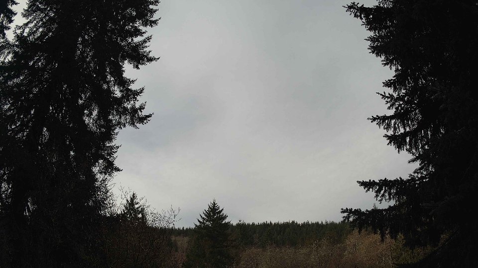 Pacific Northwest skyline timelapse on Feb 28, 2026 at 10:00 AM