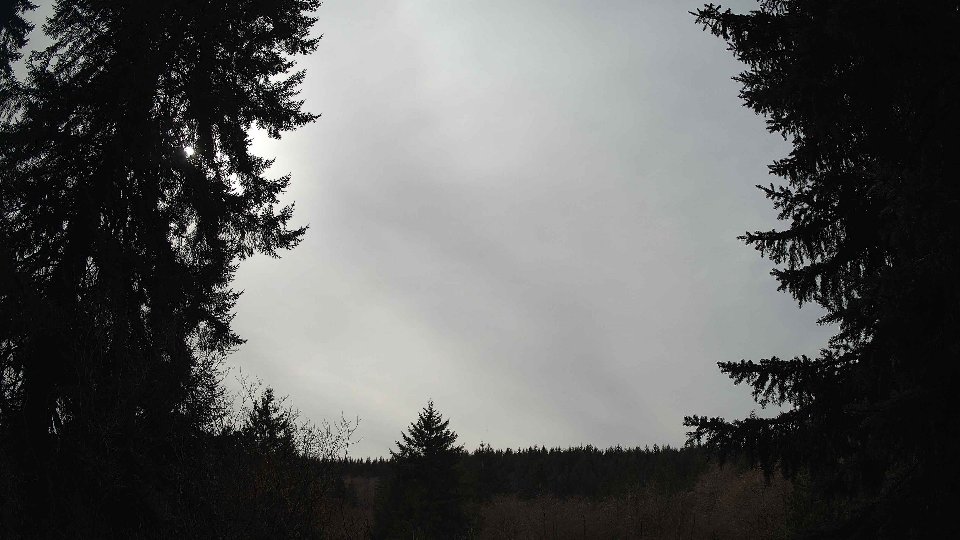 Pacific Northwest skyline timelapse on Feb 28, 2026 at 1:15 PM