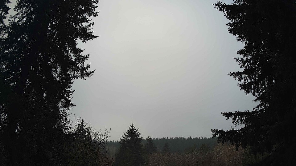 Pacific Northwest skyline timelapse on Mar 1st, 2026 at 8:00 AM