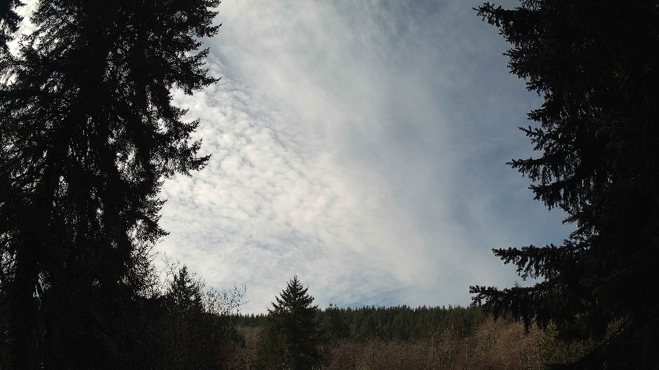 Pacific Northwest skyline timelapse on Mar 1st, 2026 at 11:00 AM