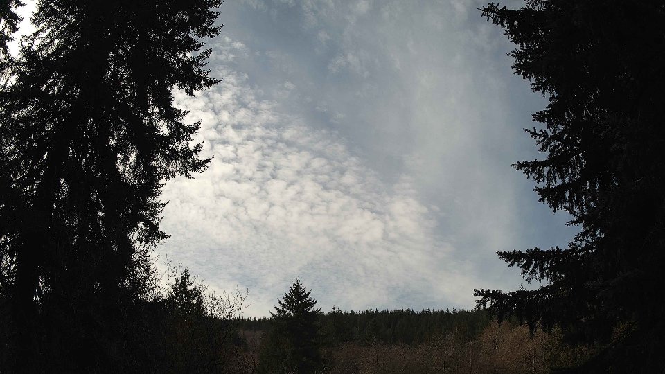 Pacific Northwest skyline timelapse on Mar 1st, 2026 at 11:15 AM