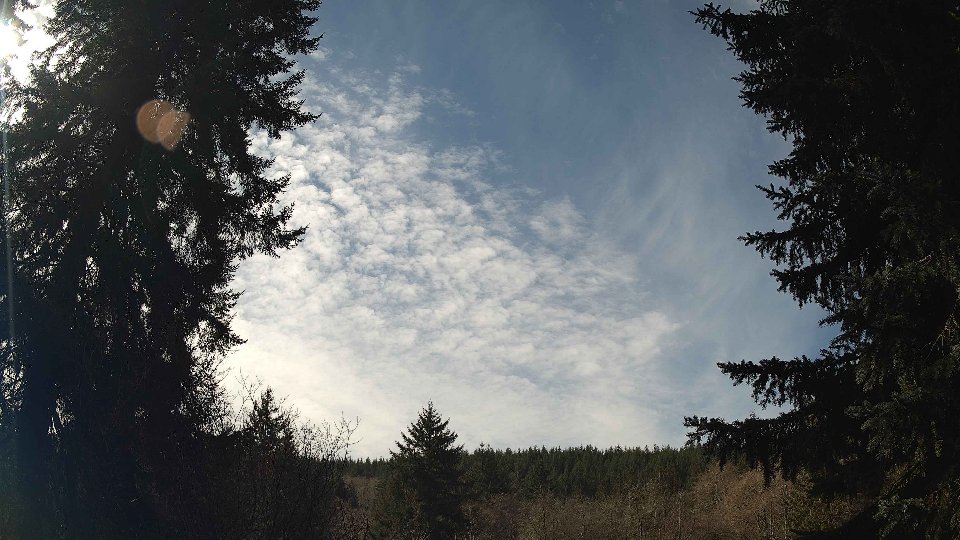 Pacific Northwest skyline timelapse on Mar 1st, 2026 at 11:30 AM