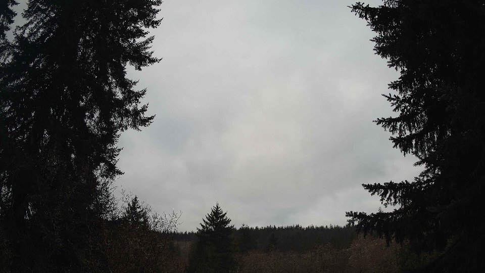 Pacific Northwest skyline timelapse on Mar 02, 2026 at 8:45 AM