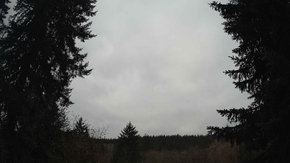 Pacific Northwest skyline timelapse on Mar 02, 2026 at 9:00 AM