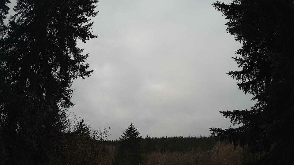 Pacific Northwest skyline timelapse on Mar 02, 2026 at 9:15 AM