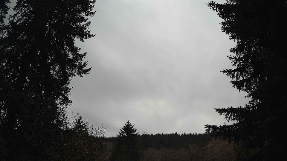 Pacific Northwest skyline timelapse on Mar 02, 2026 at 10:15 AM