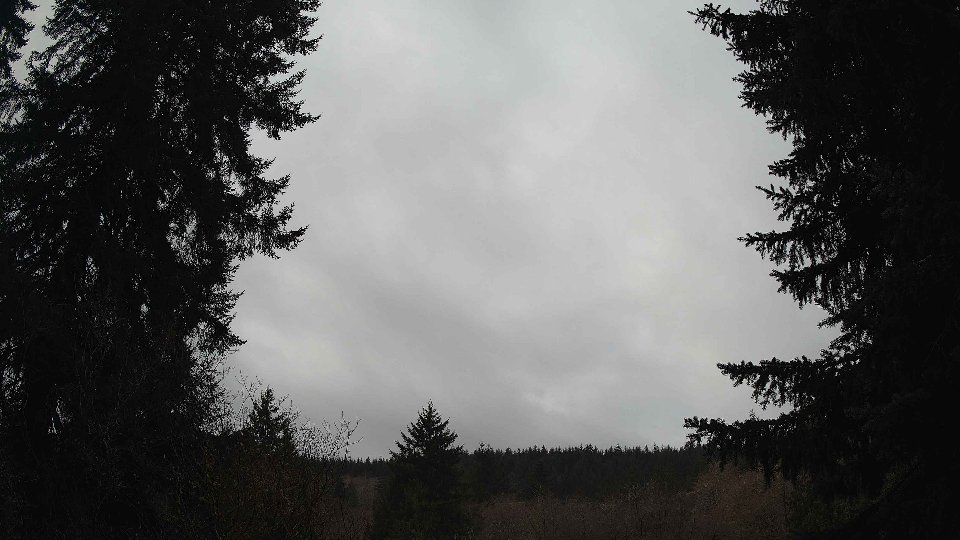 Pacific Northwest skyline timelapse on Mar 02, 2026 at 10:30 AM
