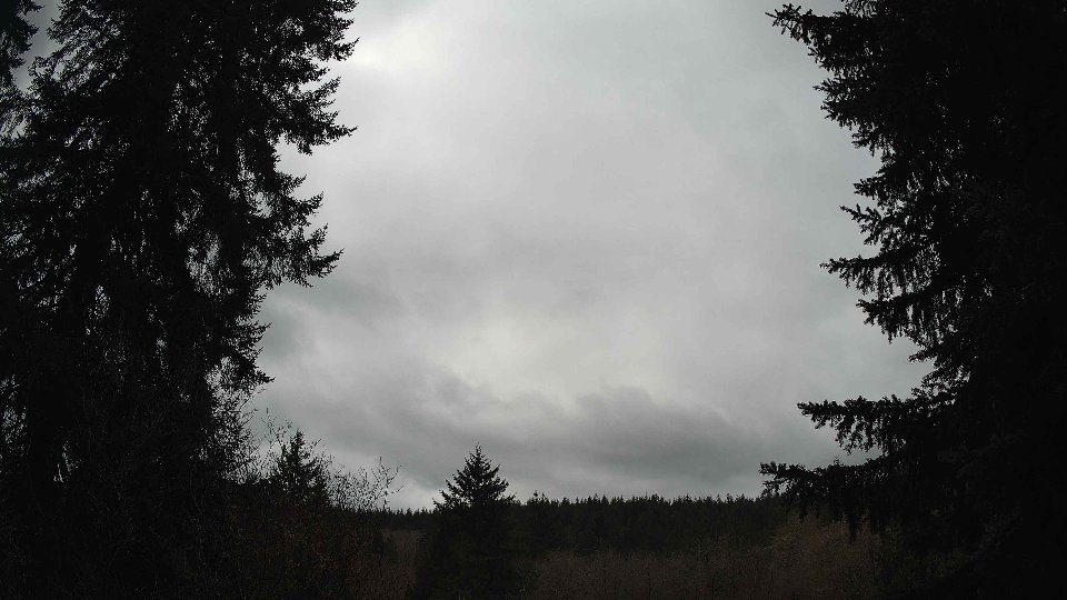 Pacific Northwest skyline timelapse on Mar 02, 2026 at 11:45 AM
