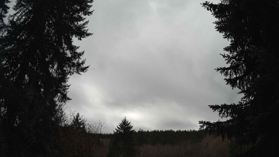 Pacific Northwest skyline timelapse on Mar 02, 2026 at 12:45 PM