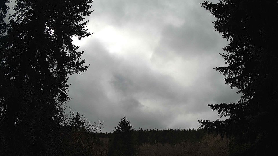 Pacific Northwest skyline timelapse on Mar 02, 2026 at 1:00 PM