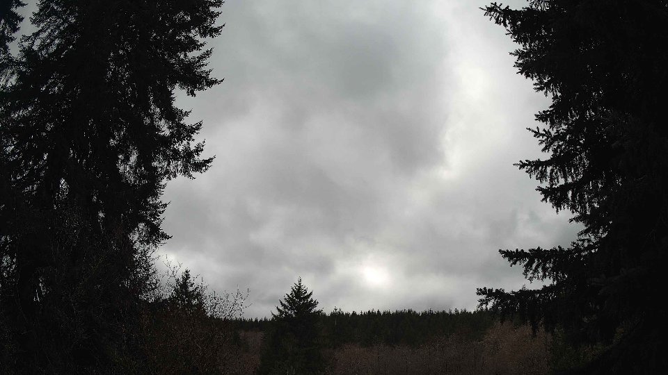 Pacific Northwest skyline timelapse on Mar 02, 2026 at 2:00 PM