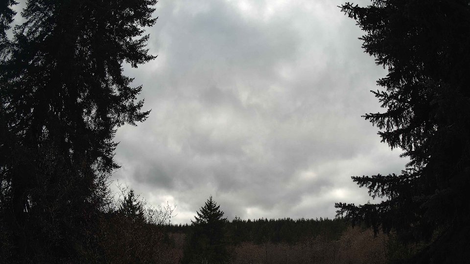 Pacific Northwest skyline timelapse on Mar 02, 2026 at 3:00 PM