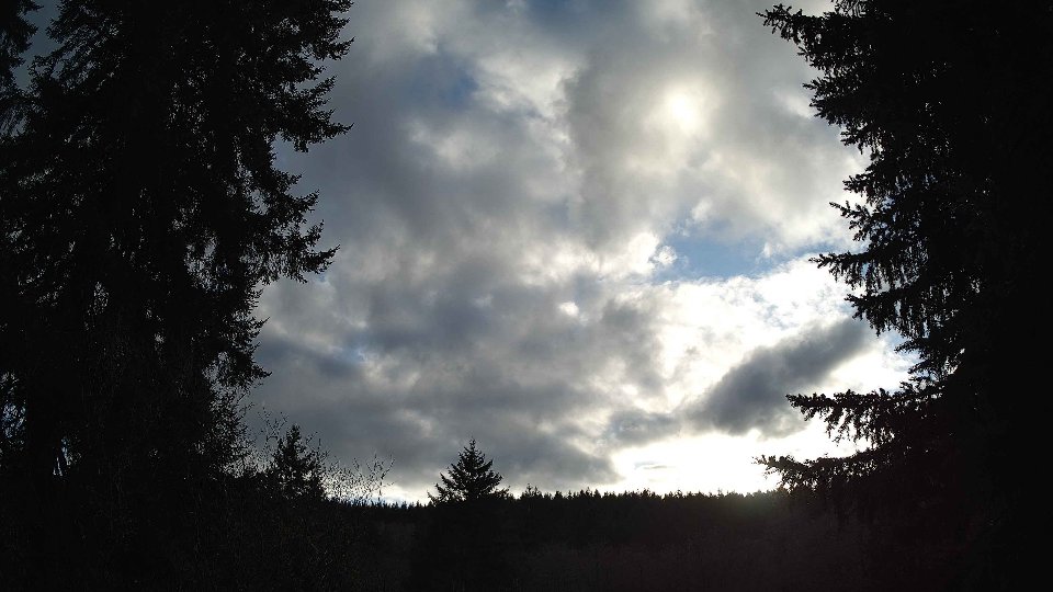 Pacific Northwest skyline timelapse on Mar 02, 2026 at 4:45 PM