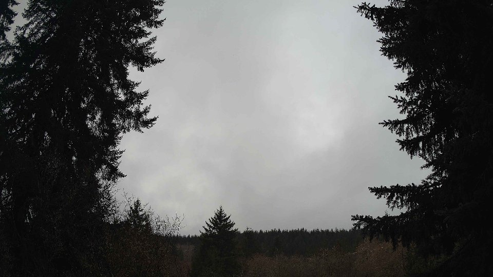 Pacific Northwest skyline timelapse on Mar 03, 2026 at 8:30 AM