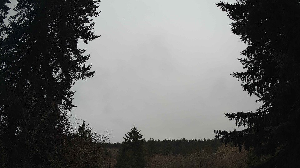 Pacific Northwest skyline timelapse on Mar 03, 2026 at 9:15 AM