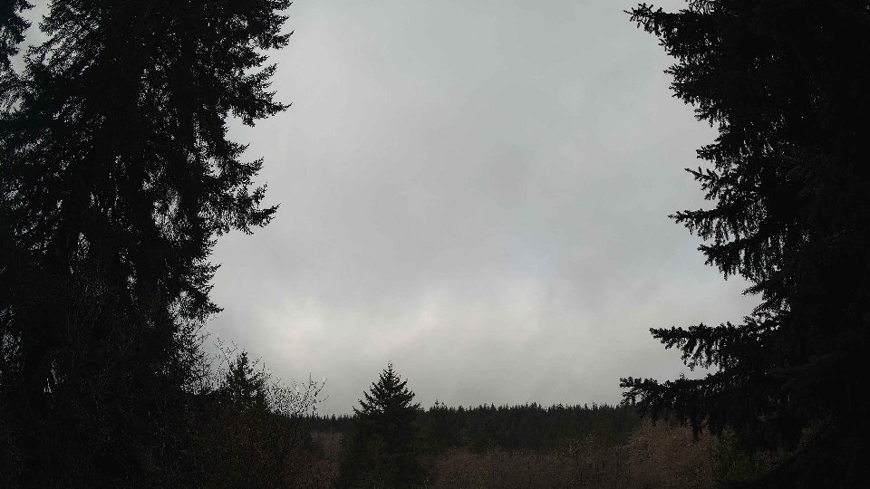 Pacific Northwest skyline timelapse on Mar 03, 2026 at 10:00 AM