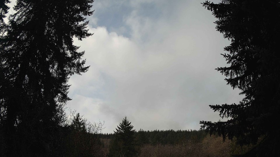 Pacific Northwest skyline timelapse on Mar 03, 2026 at 10:15 AM