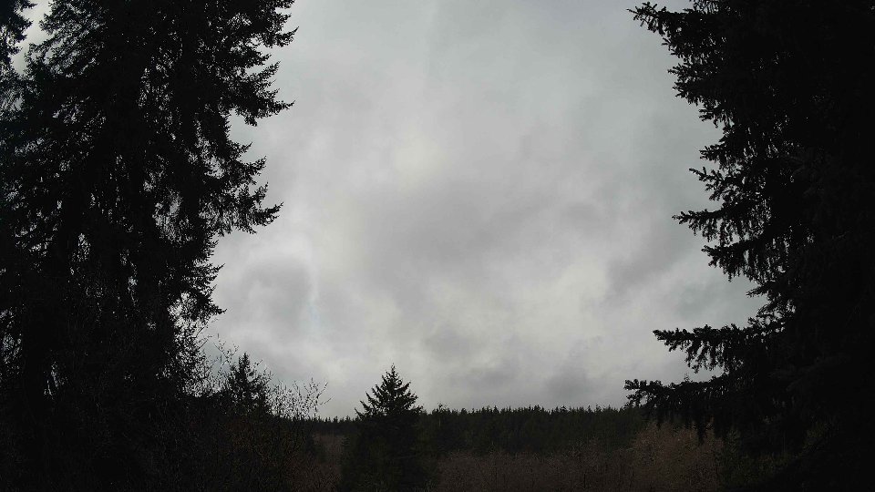 Pacific Northwest skyline timelapse on Mar 03, 2026 at 10:30 AM