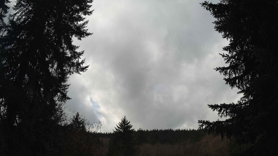 Pacific Northwest skyline timelapse on Mar 03, 2026 at 11:00 AM