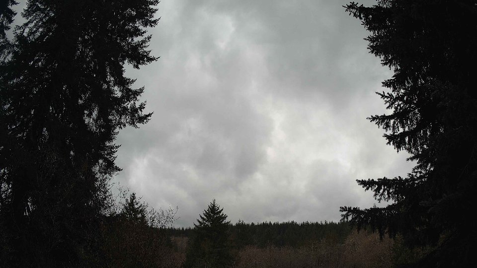 Pacific Northwest skyline timelapse on Mar 03, 2026 at 11:15 AM