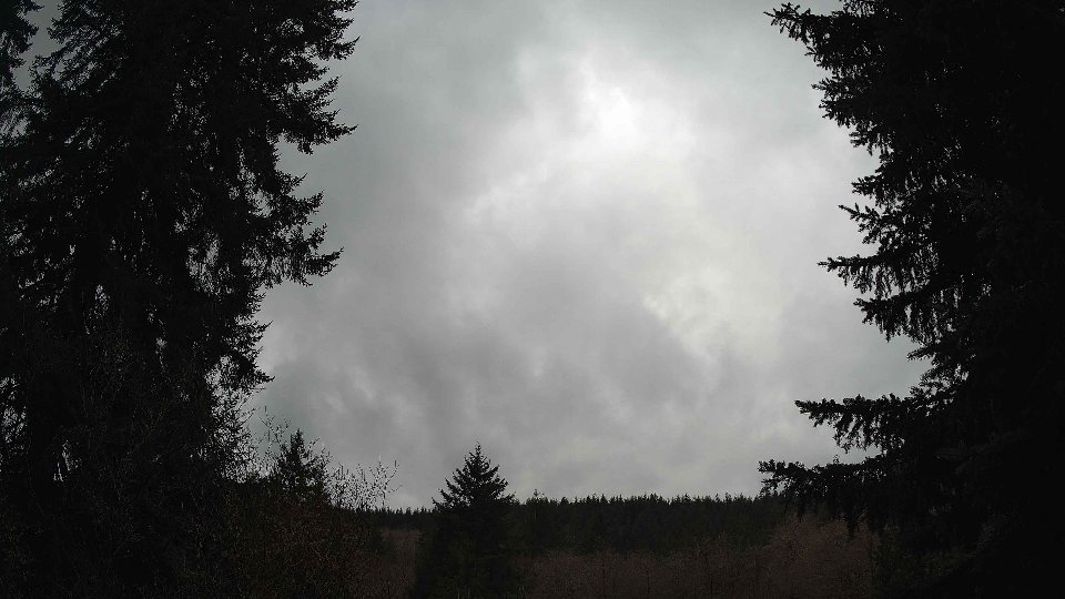Pacific Northwest skyline timelapse on Mar 03, 2026 at 11:30 AM