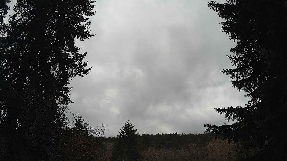 Pacific Northwest skyline timelapse on Mar 03, 2026 at 11:45 AM