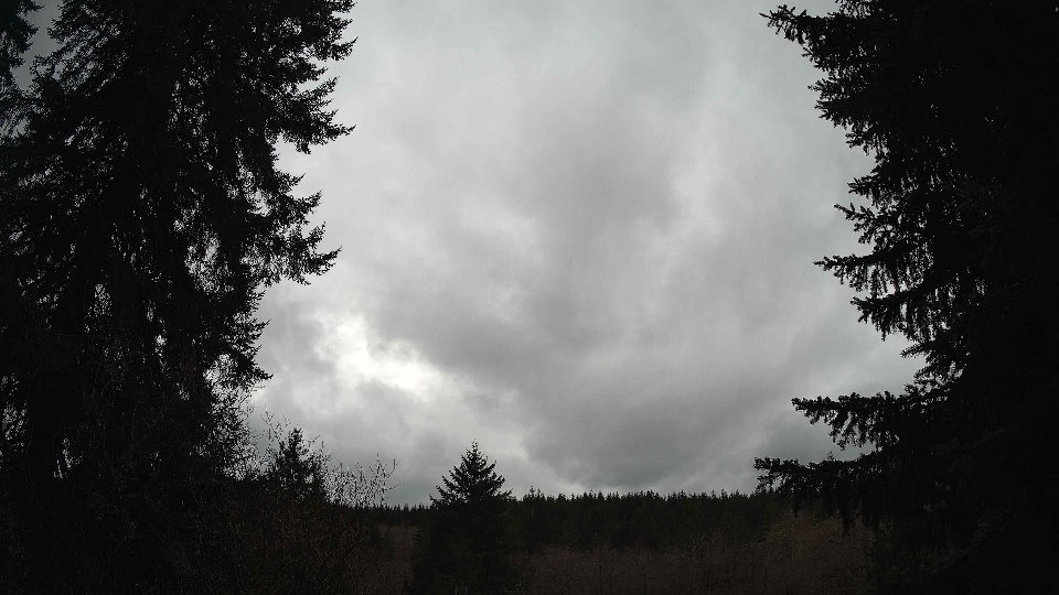 Pacific Northwest skyline timelapse on Mar 03, 2026 at 12:30 PM