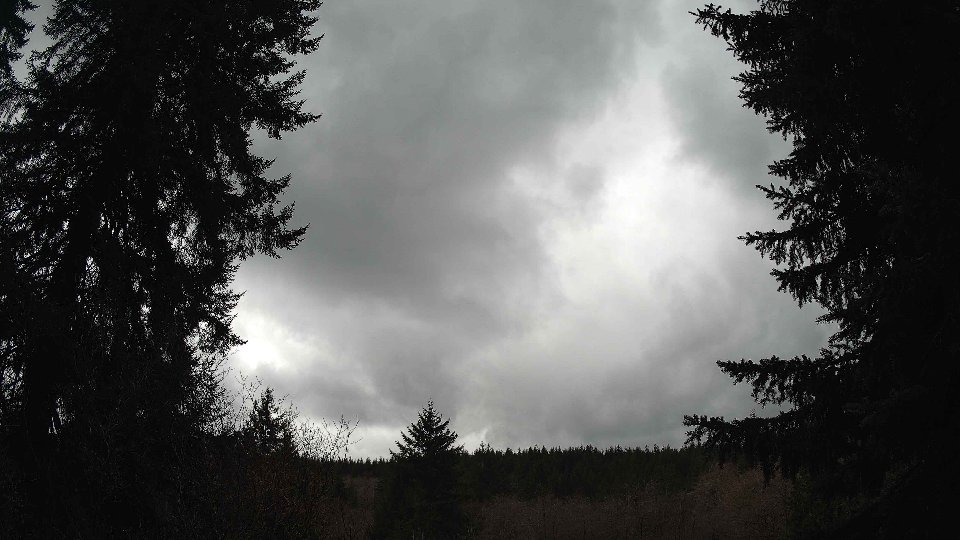 Pacific Northwest skyline timelapse on Mar 03, 2026 at 12:45 PM