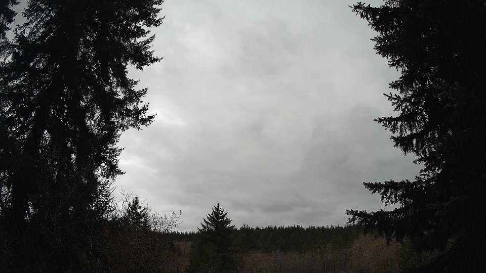 Pacific Northwest skyline timelapse on Mar 03, 2026 at 1:15 PM
