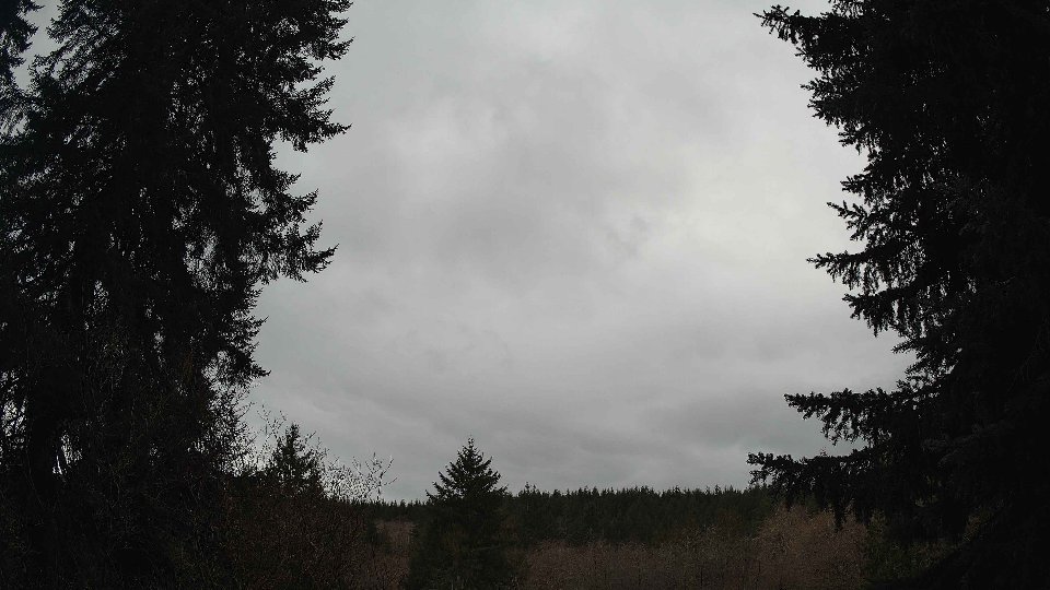 Pacific Northwest skyline timelapse on Mar 03, 2026 at 1:30 PM