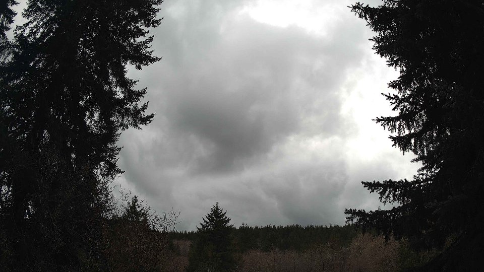 Pacific Northwest skyline timelapse on Mar 03, 2026 at 2:15 PM