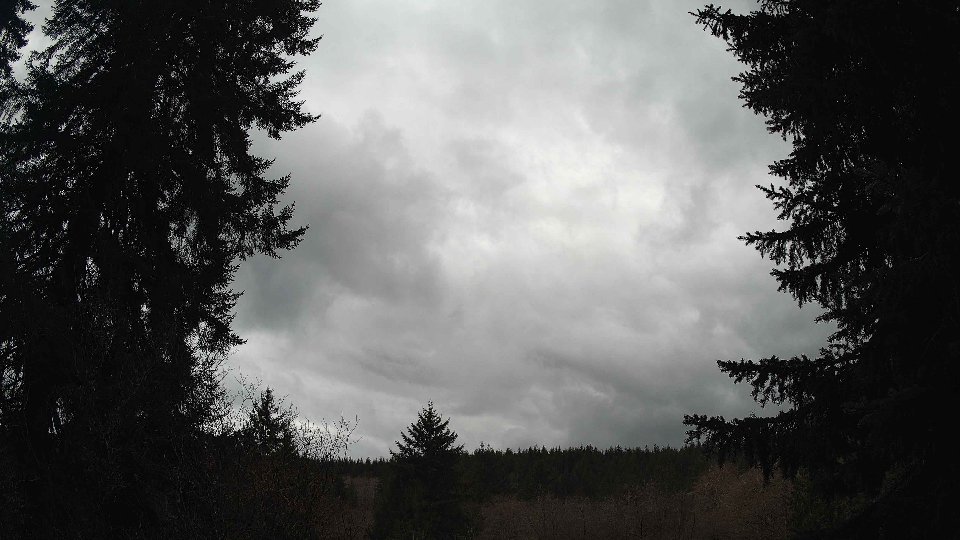 Pacific Northwest skyline timelapse on Mar 03, 2026 at 2:30 PM