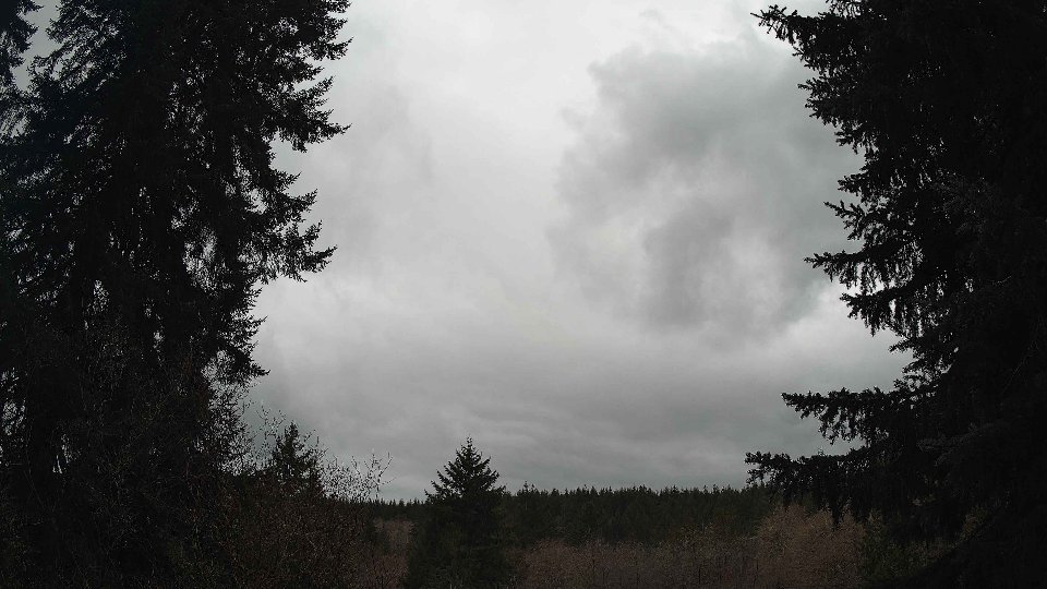 Pacific Northwest skyline timelapse on Mar 03, 2026 at 2:45 PM