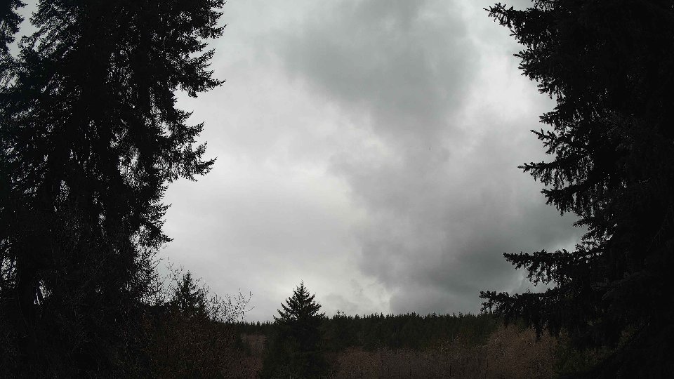 Pacific Northwest skyline timelapse on Mar 03, 2026 at 3:15 PM