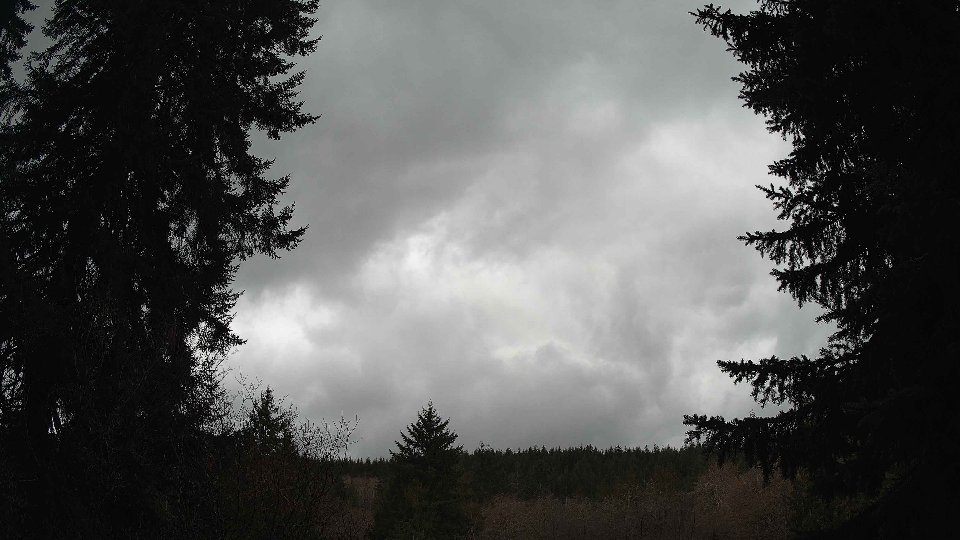 Pacific Northwest skyline timelapse on Mar 03, 2026 at 3:30 PM