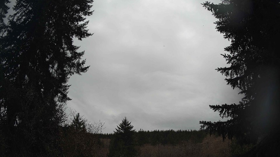 Pacific Northwest skyline timelapse on Mar 03, 2026 at 4:00 PM
