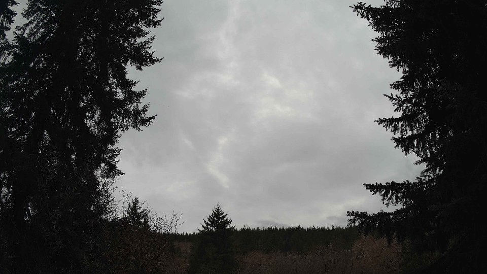 Pacific Northwest skyline timelapse on Mar 03, 2026 at 5:15 PM