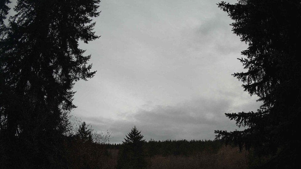 Pacific Northwest skyline timelapse on Mar 03, 2026 at 5:30 PM