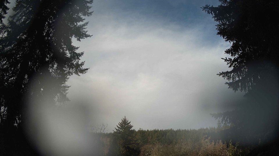 Pacific Northwest skyline timelapse on Mar 04, 2026 at 8:30 AM