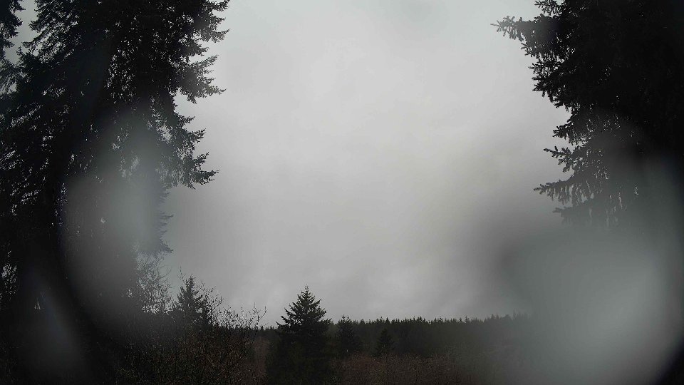 Pacific Northwest skyline timelapse on Mar 04, 2026 at 11:00 AM